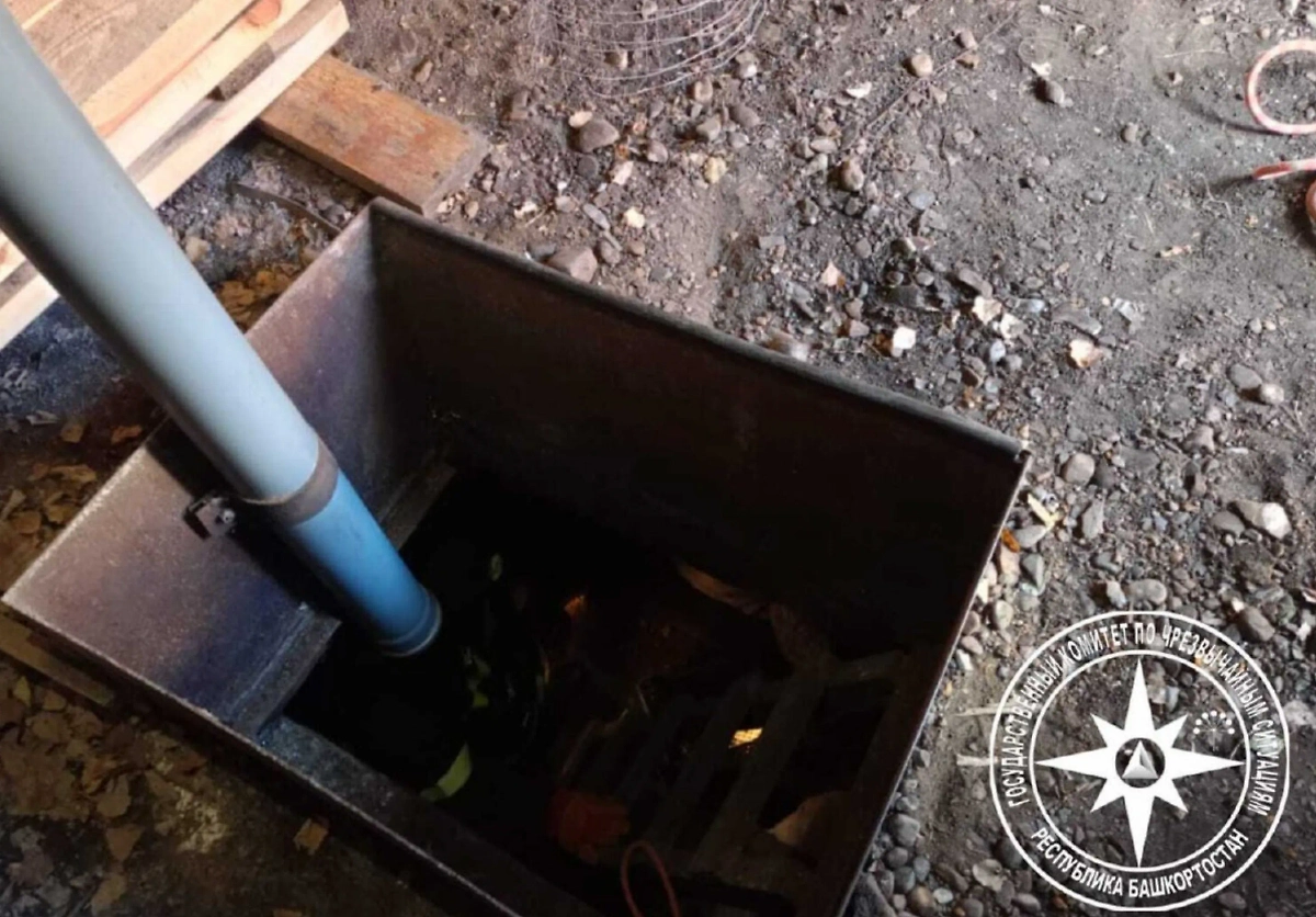 Собака провалилась в погреб, её спасли. Фото © Telegram / Госкомитет РБ по ЧС