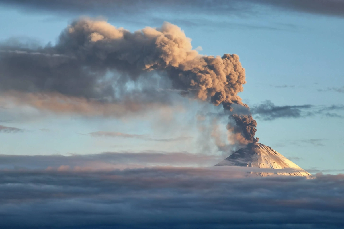 Обложка © Shutterstock / FOTODOM / GENNADY TEPLITSKIY