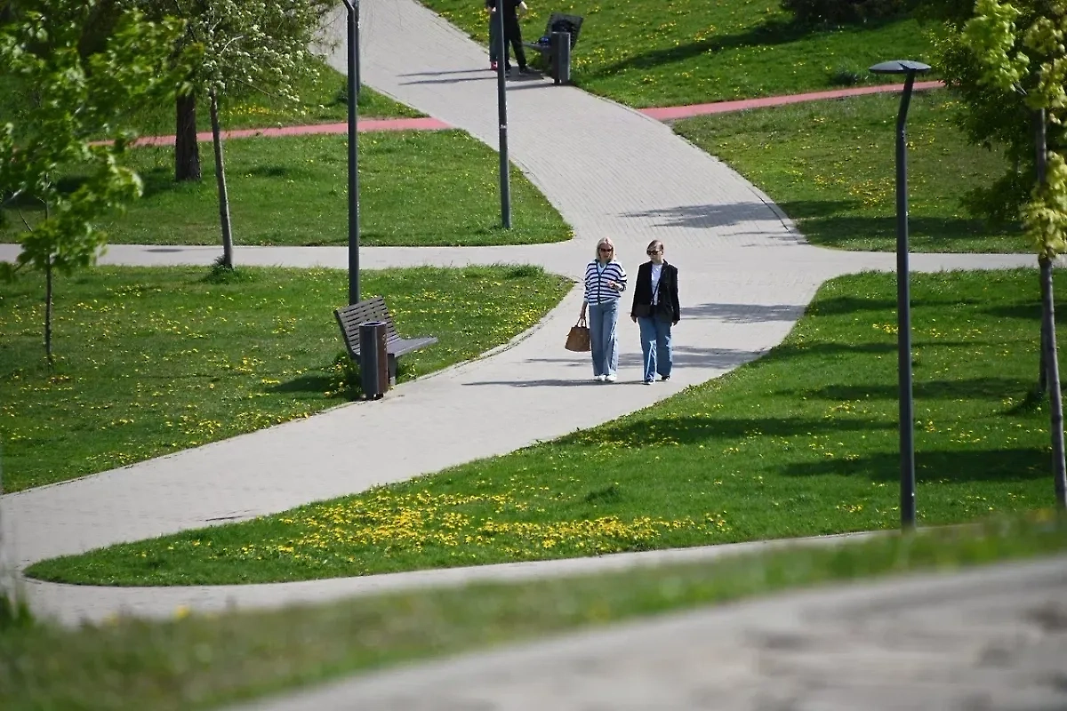 Обложка © Life.ru