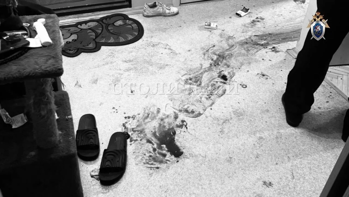 Обложка © Telegram/Столичный СК