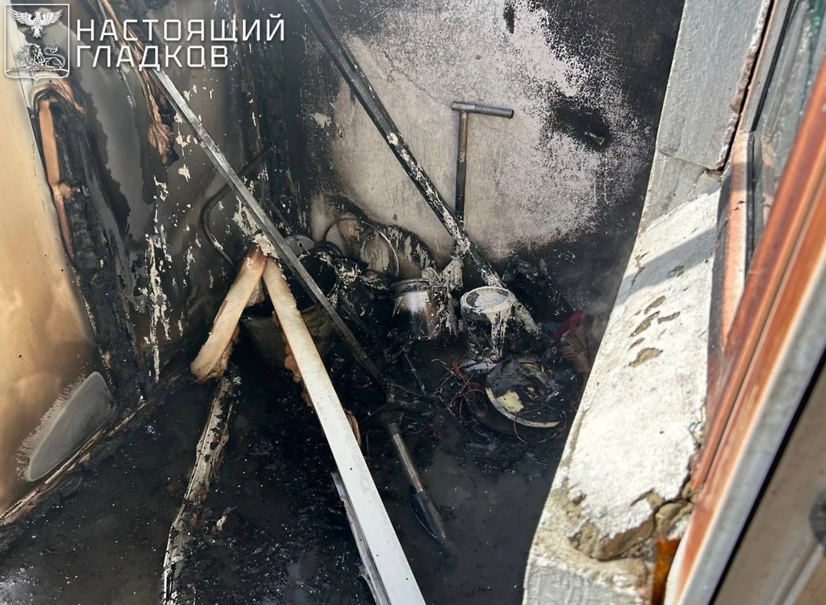 Фото © Telegram / Настоящий Гладков