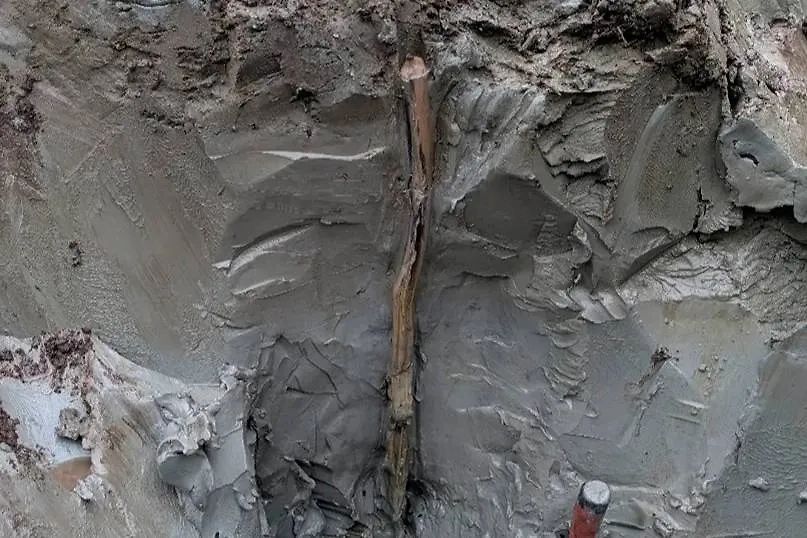 Резная деревянная палка в иле. Фото © Arkeologerna / SHM