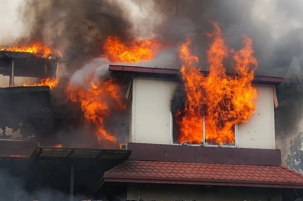 Обложка © ТАСС / Zuma 