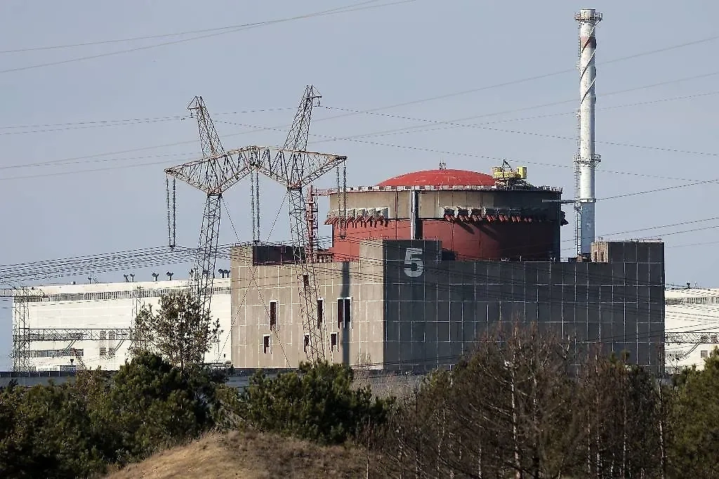 Обложка © ТАСС / Алексей Коновалов