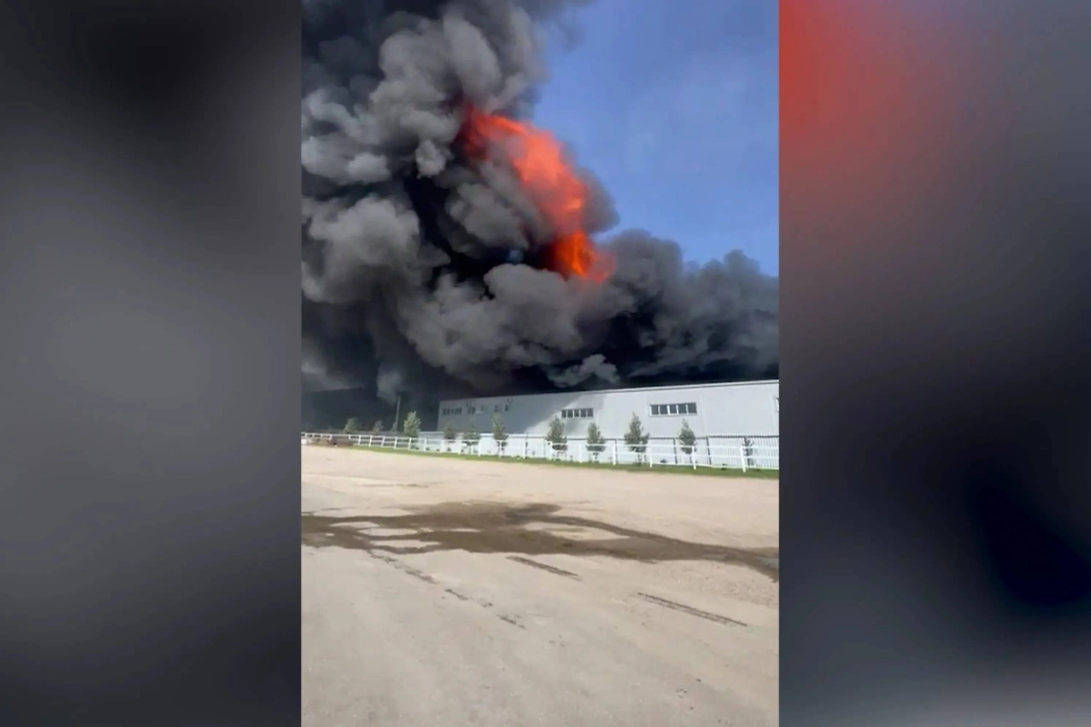 Обложка © Telegram / Прокуратура Московской области