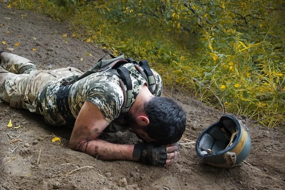 Обложка © Shutterstock / FOTODOM / ArtMari