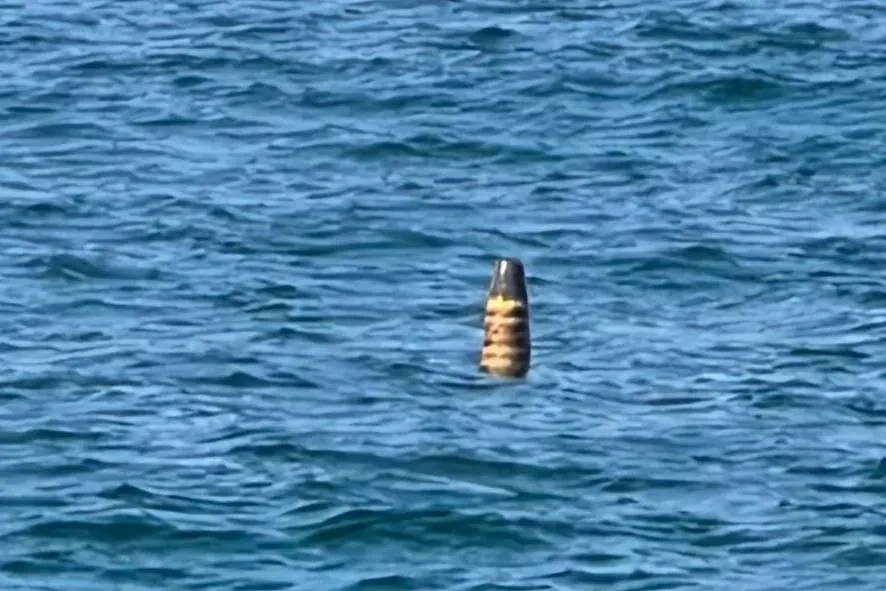 Обложка © Министерство обороны Болгарии