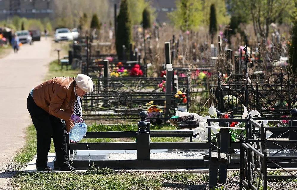 Так когда всё же можно убираться на могилах? Только на Родительские или ещё и в дни памяти? Фото © ТАСС / Александр Рюмин 