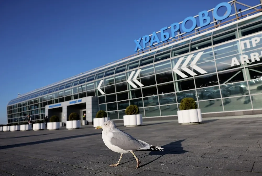 Обложка © РИА Новости / Виталий Невар