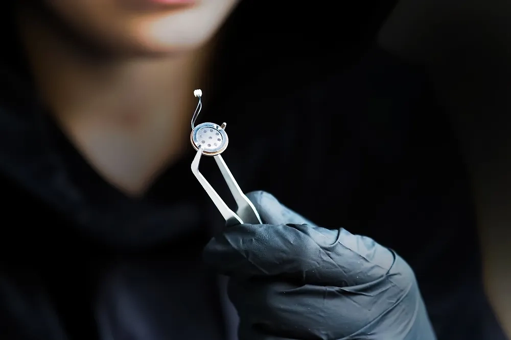 Обложка © Shutterstock / FOTODOM / ANGHI