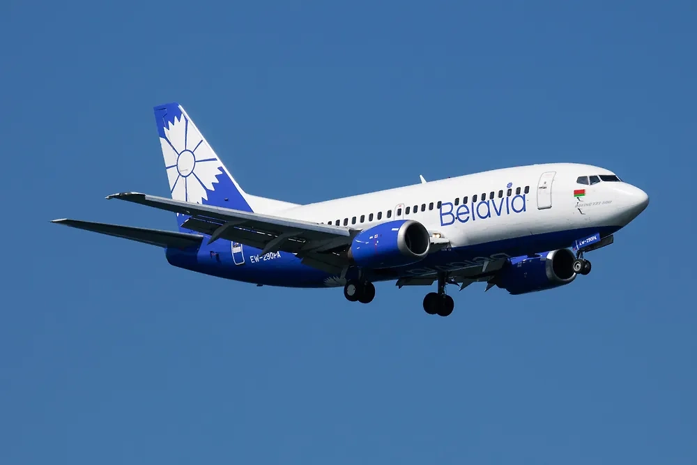 Обложка © Shutterstock / FOTODOM / Soos Jozsef