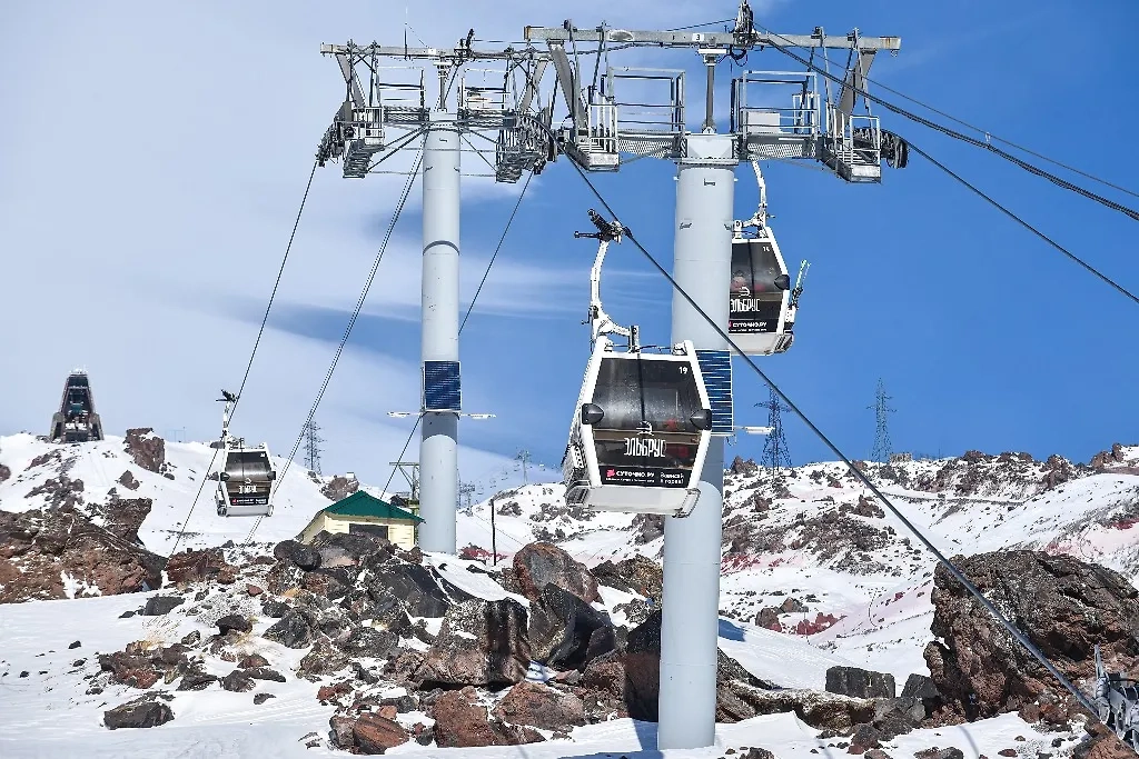 Обложка © ТАСС / Иван Губский