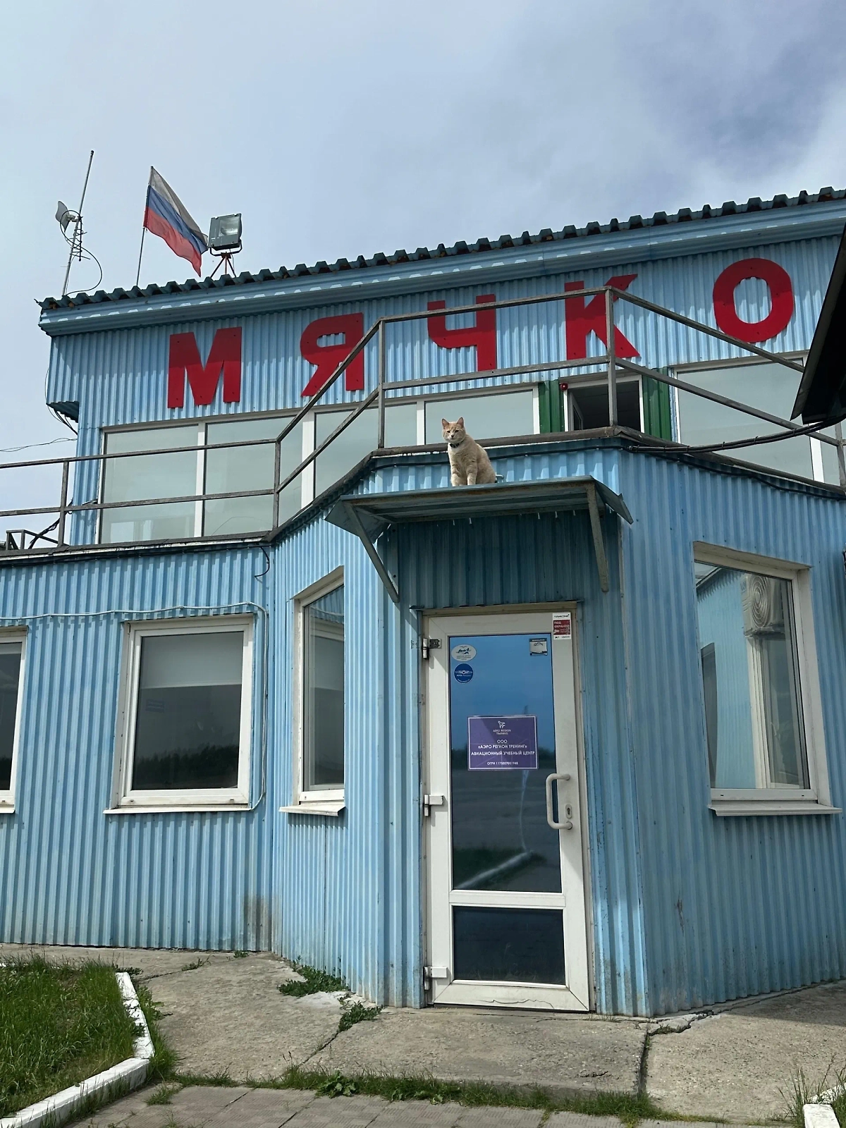 Кот Персик. Фото © VK/Лётная школа ART