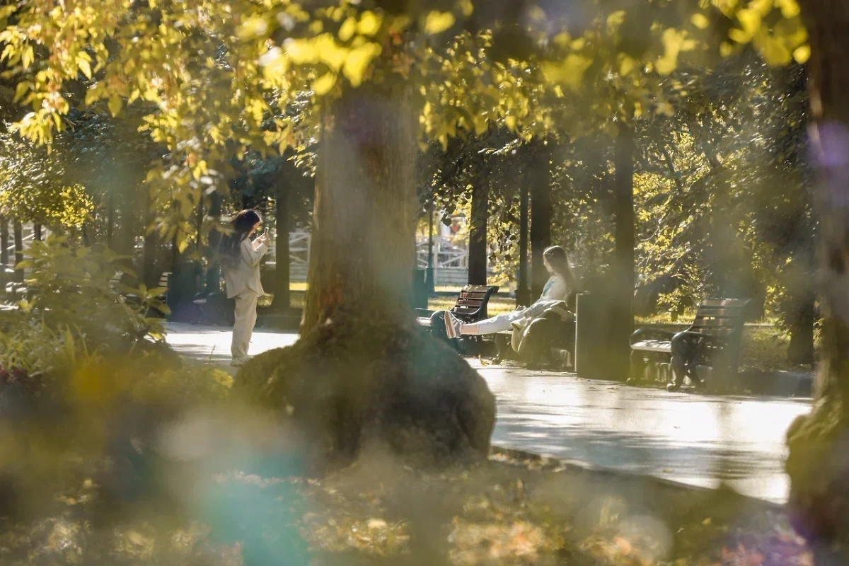 Обложка © Life.ru