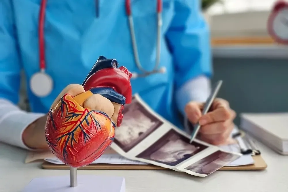 Обложка © Shutterstock / FOTODOM / NMK-Studio