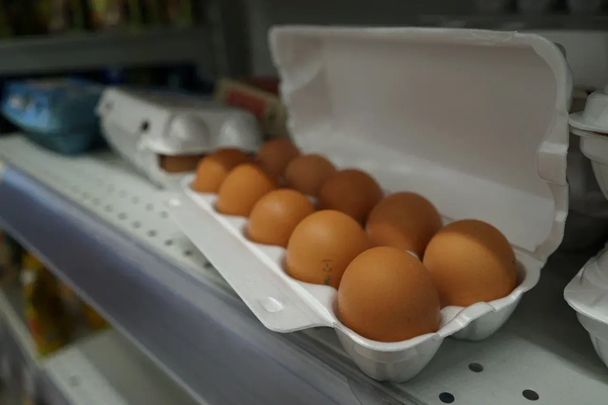 Обложка © Life.ru