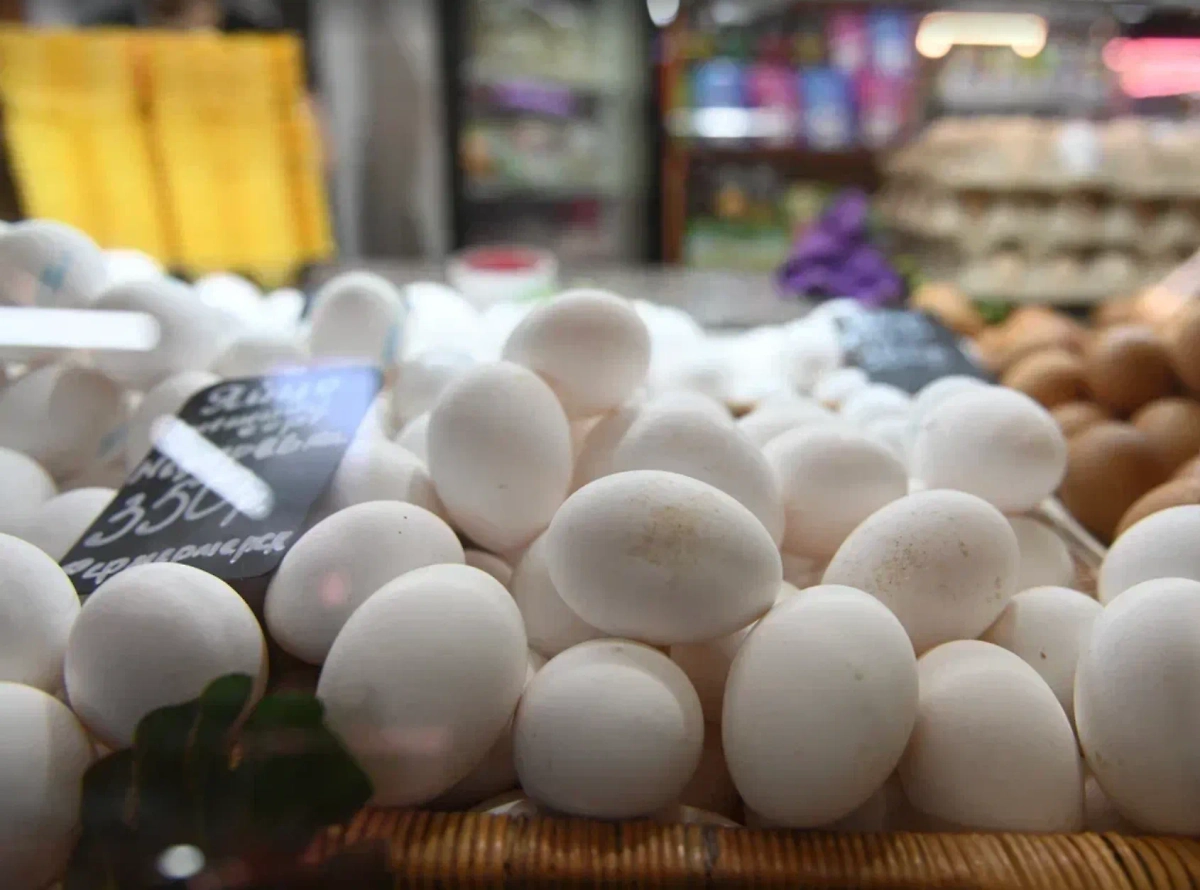 Обложка © Life.ru