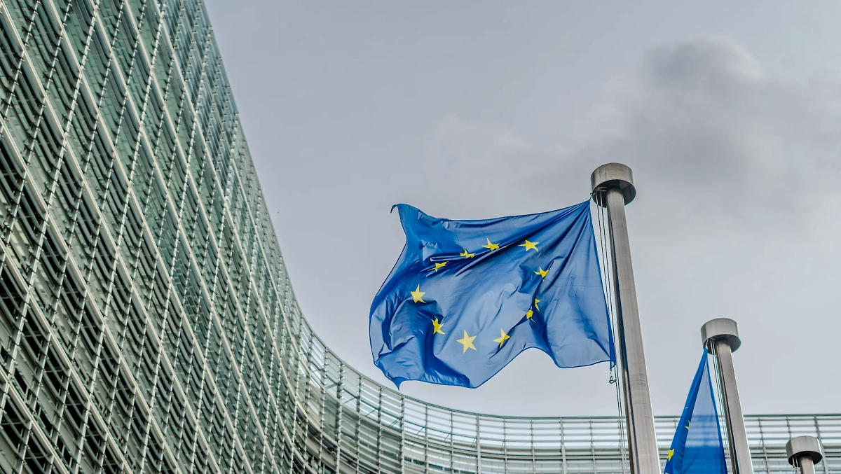 Обложка © Shutterstock / FOTODOM / Mounir Taha