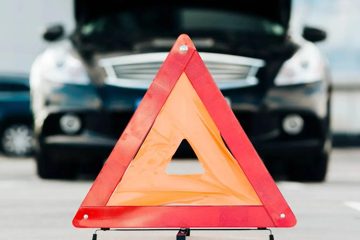 Обложка © freepik