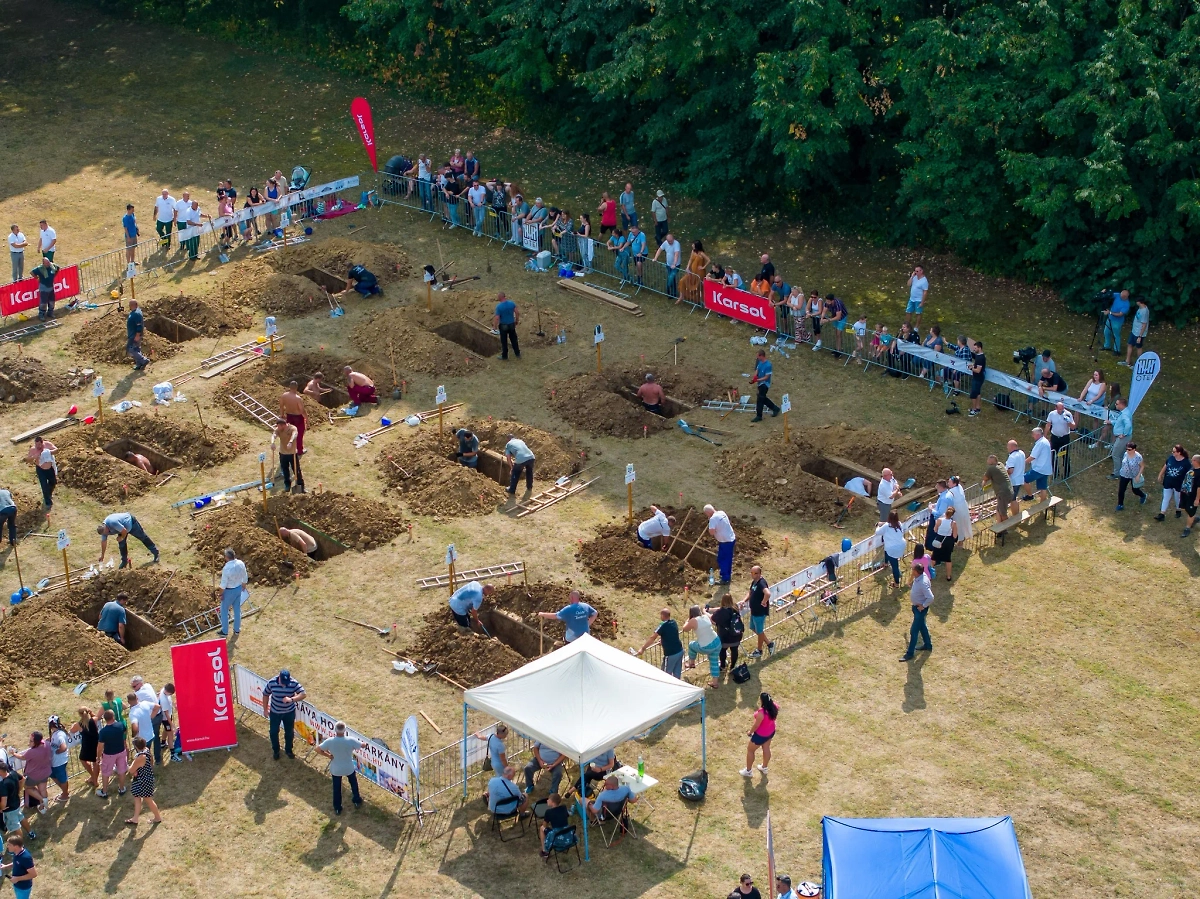 Обложка © MTFE