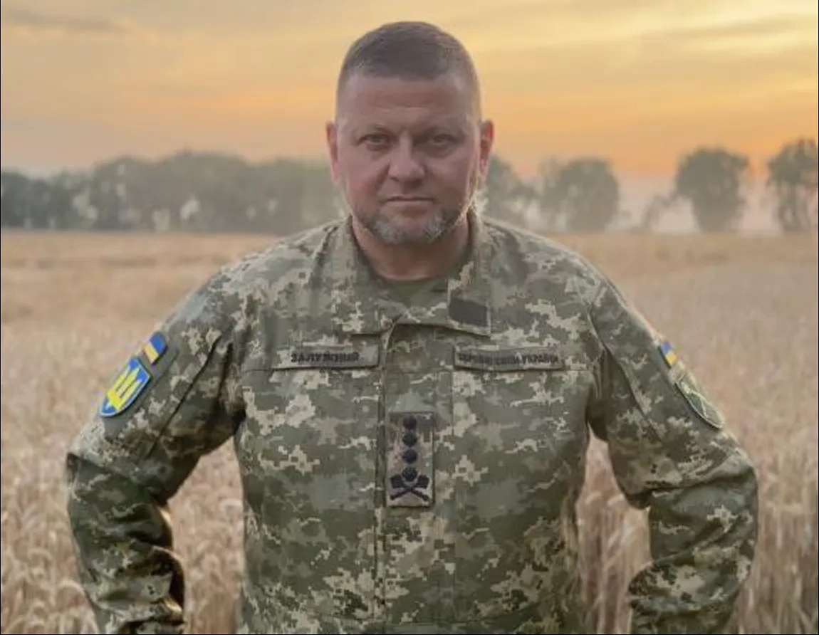 Валерий Залужный. Обложка © Facebook (соцсеть запрещена в РФ; принадлежит корпорации Meta, которая признана в РФ экстремистской) / Валерий Залужный