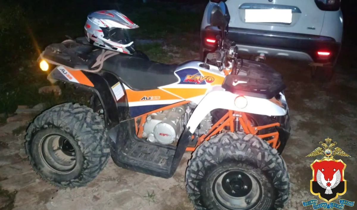 Обложка © Telgram / Ирина Волк