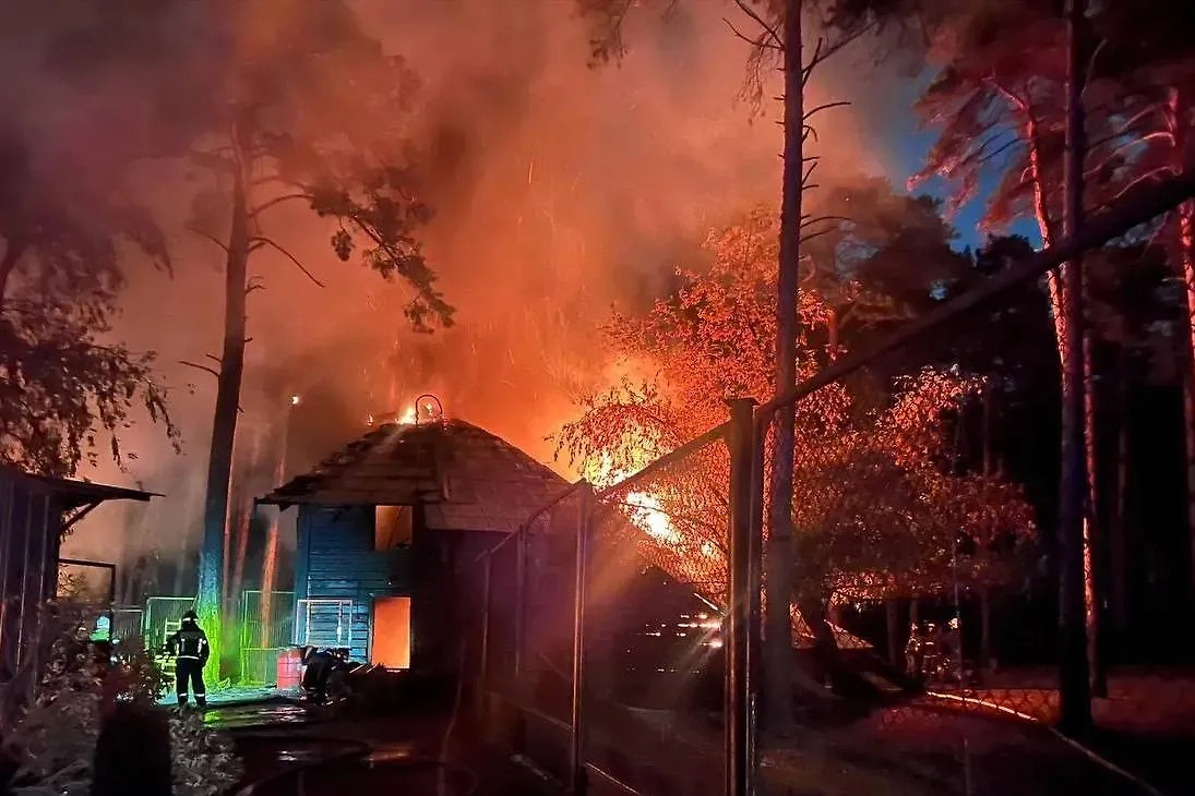 Обложка © Telegram / Прокуратура Новосибирской области