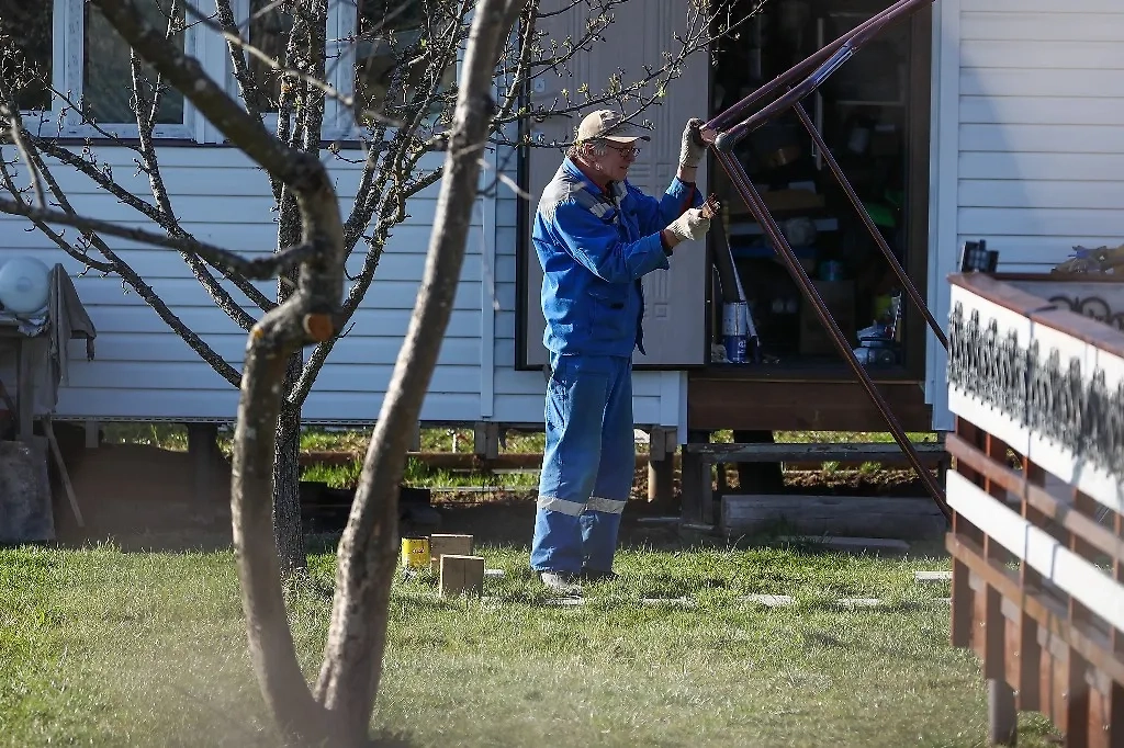 Обложка © ТАСС / Антон Новодережкин