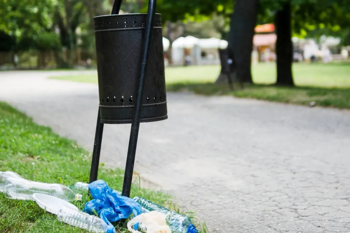 Обложка © freepik