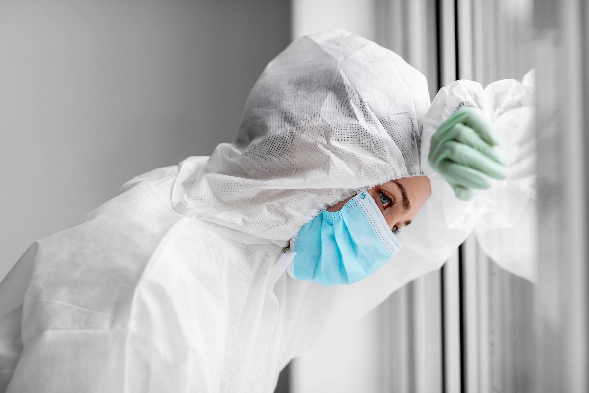 Обложка © Freepik / freepik