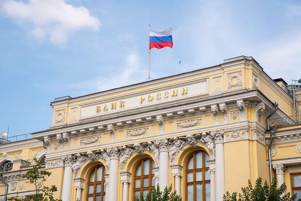 Обложка © ТАСС / Александр Манзюк