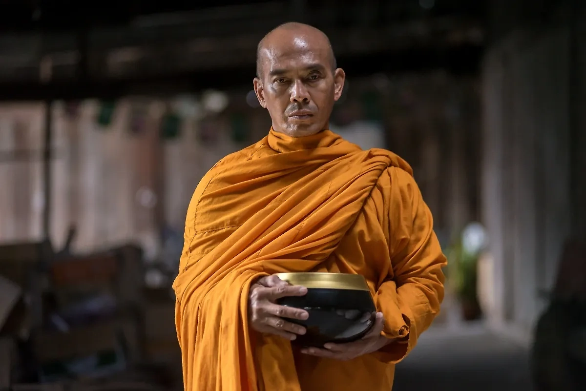 Обложка © Shutterstock / FOTODOM / Supermop