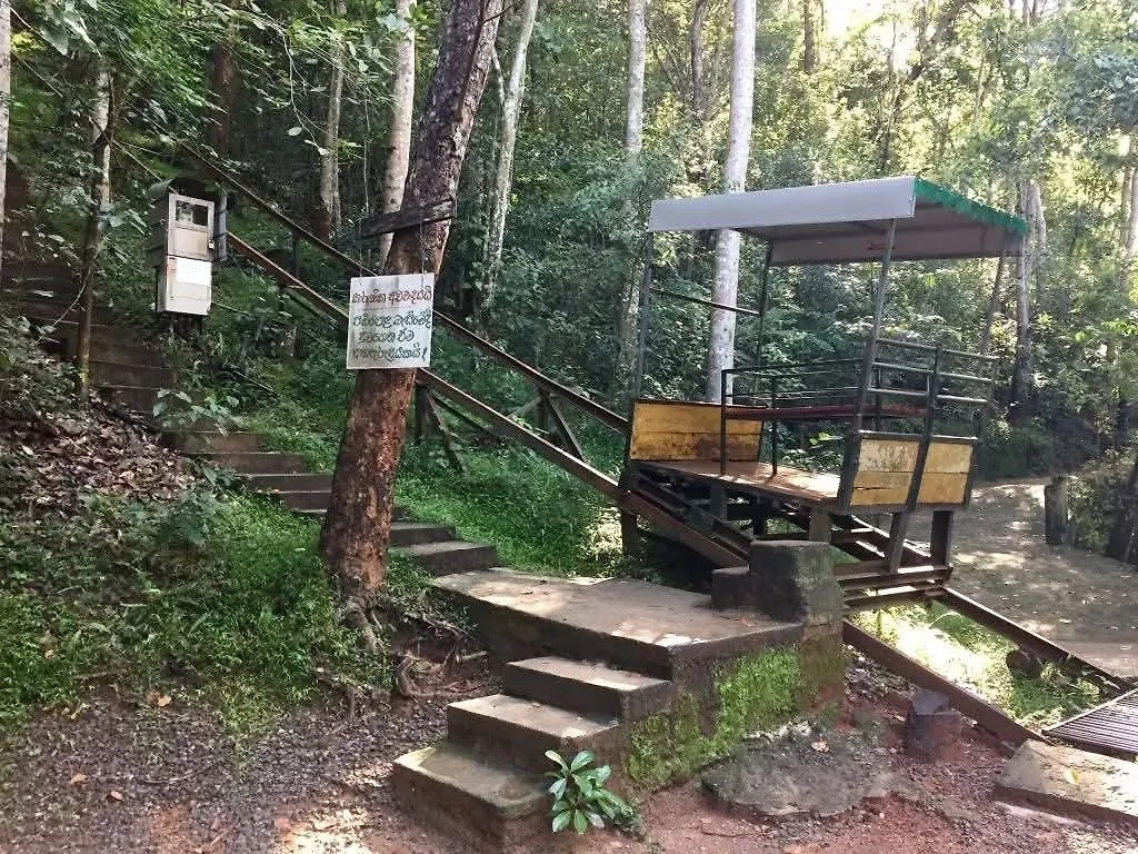 Фото © Ada Derana