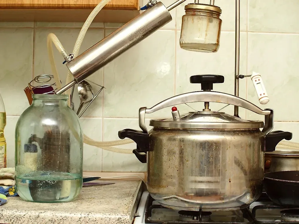 Обложка © Shutterstock / FOTODOM / DrPilulkin