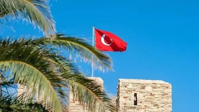 Обложка © Shutterstock / FOTODOM / Milos Momcilovic