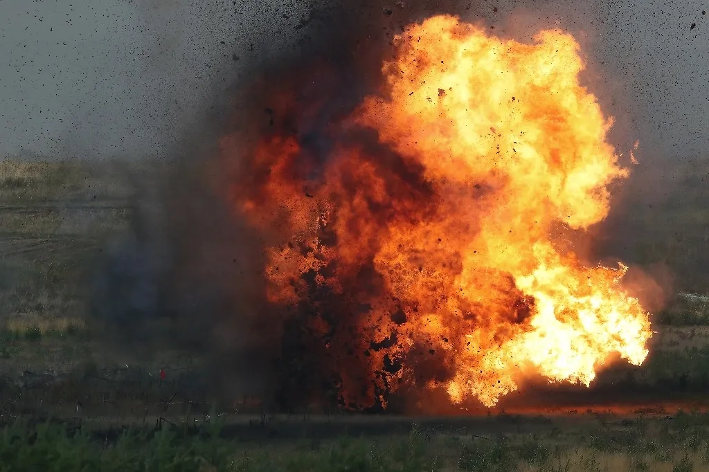 Обложка © ТАСС / Сергей Савостьянов