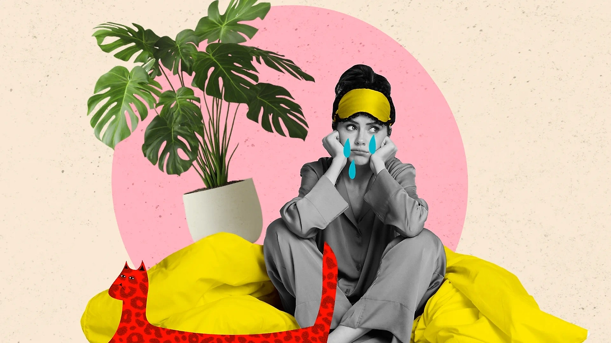 Какие цветы нельзя держать дома незамужней женщине по приметам. Обложка © Коллаж © Life.ru, фото © Shutterstock / FOTODOM / Roman Samborskyi, © Freepik