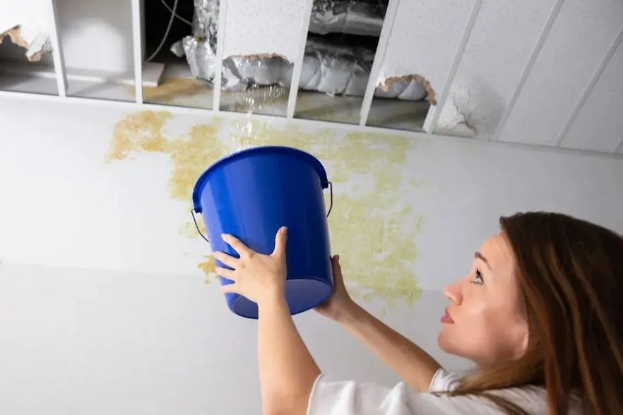 Обложка © Shutterstock / FOTODOM / Andrey_Popov