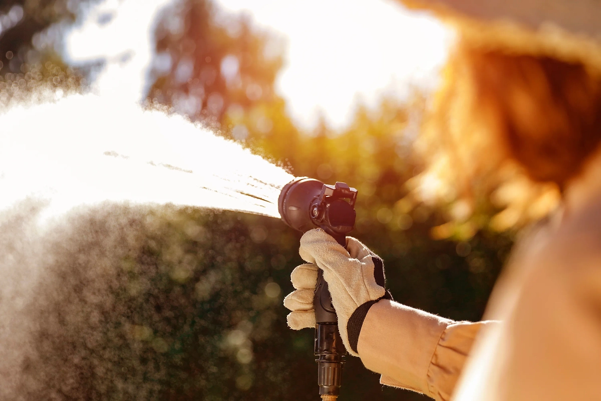 Подготовка сада к зиме: пять критически важных процедур. Фото © Shutterstock / FOTODOM / S_Photo