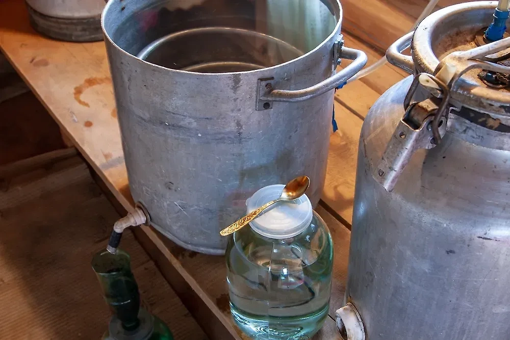 Обложка © Shutterstock / FOTODOM / Bragapictures