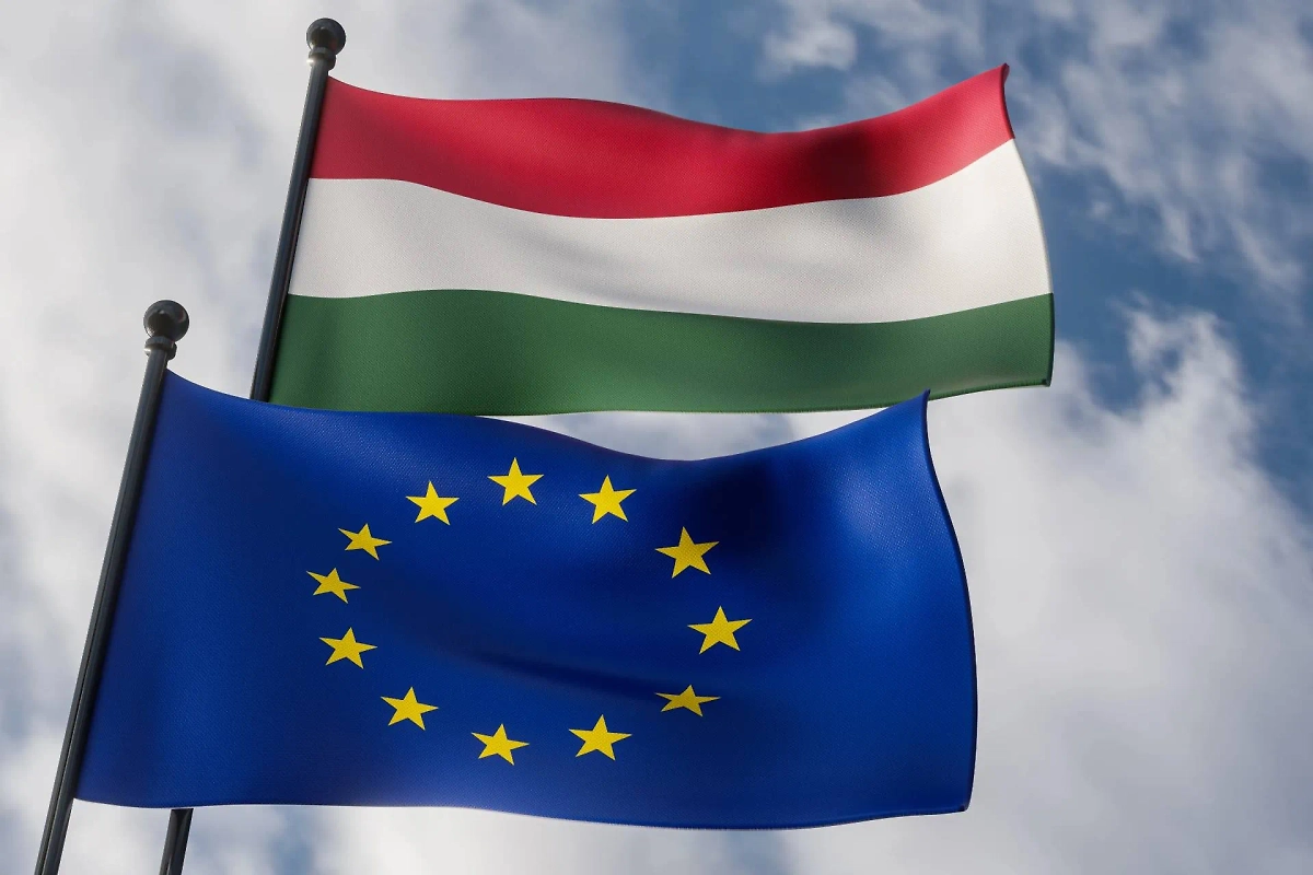 Обложка © Shutterstock / FOTODOM / Fly Of Swallow Studio