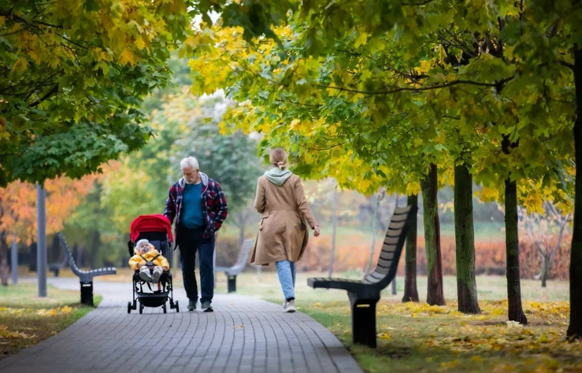 Обложка © Life.ru