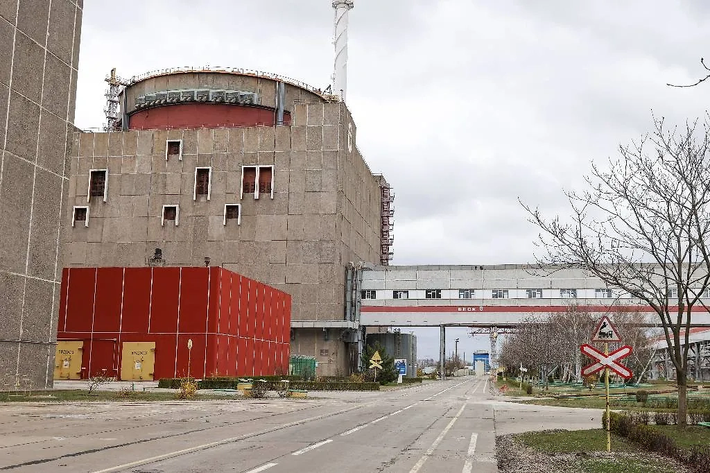 Обложка © ТАСС / Эрик Романенко