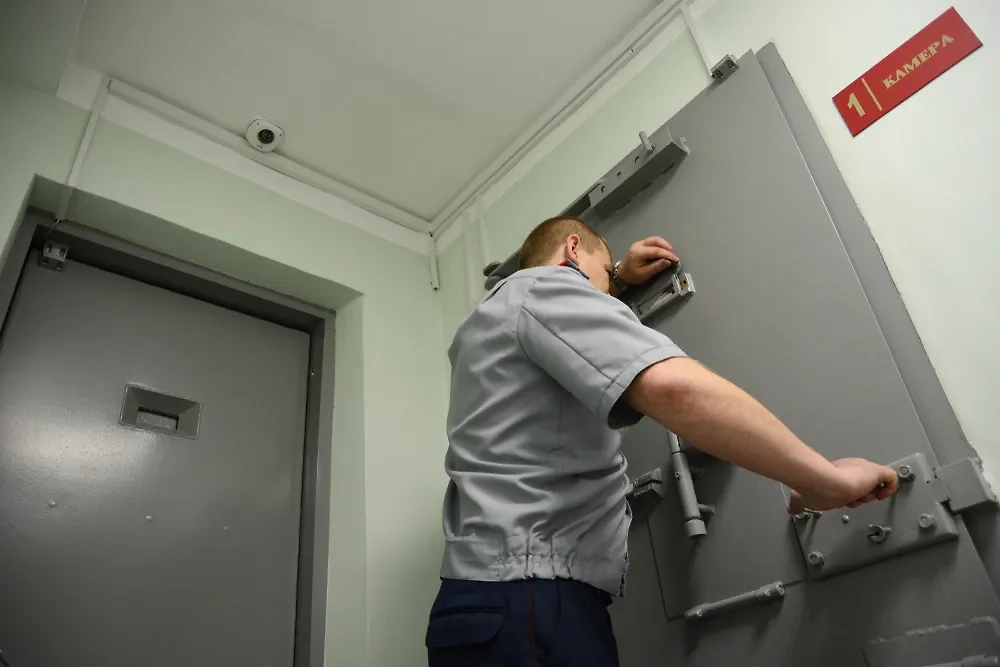 Обложка © Shutterstock / FOTODOM / Jonas Petrovas