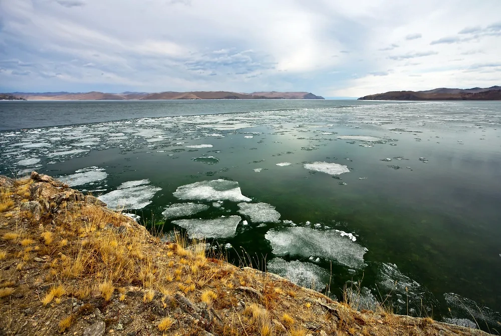 Обложка © Shutterstock / FOTODOM /