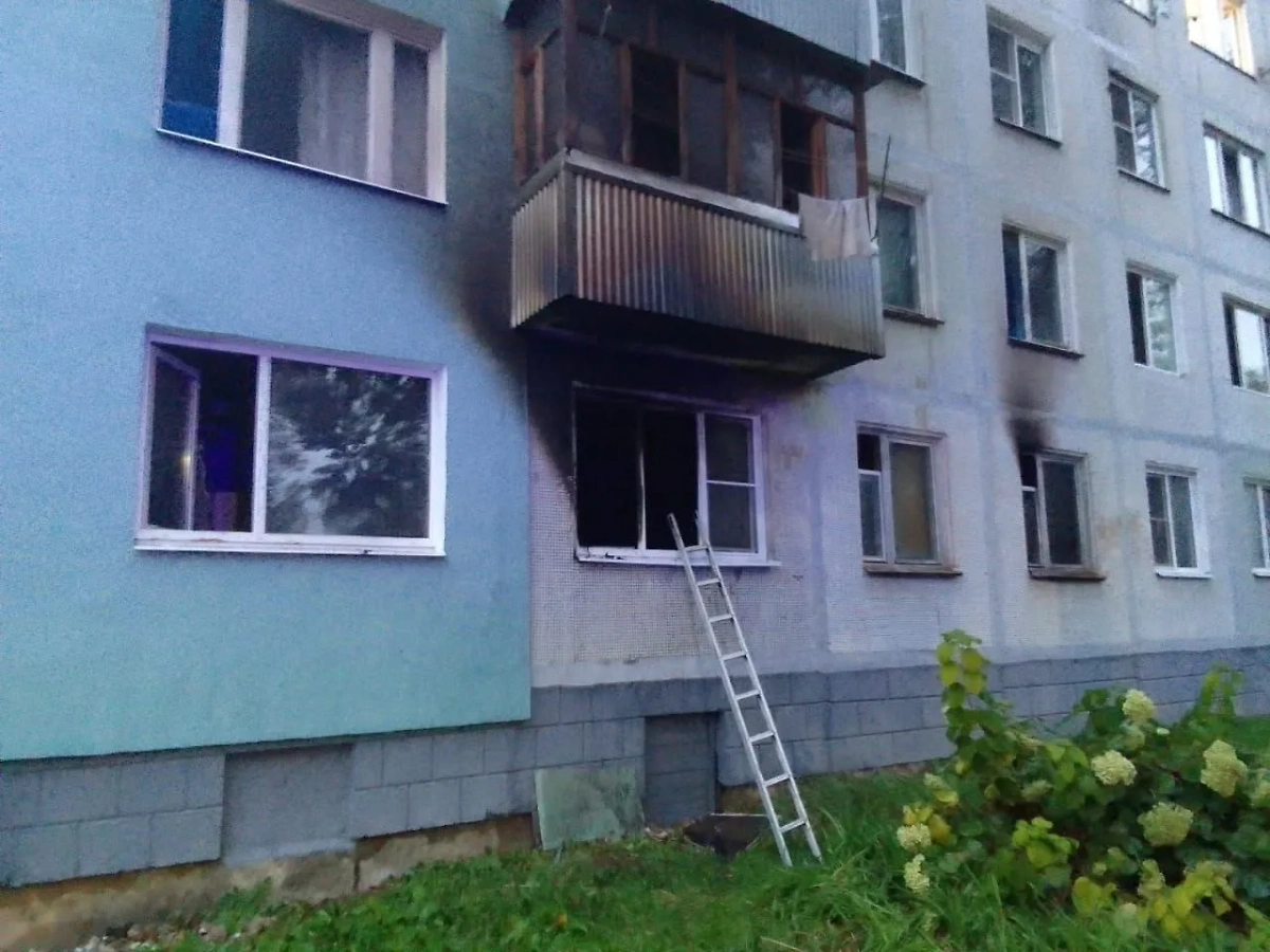 Обложка © VK / Новости Боровского Района