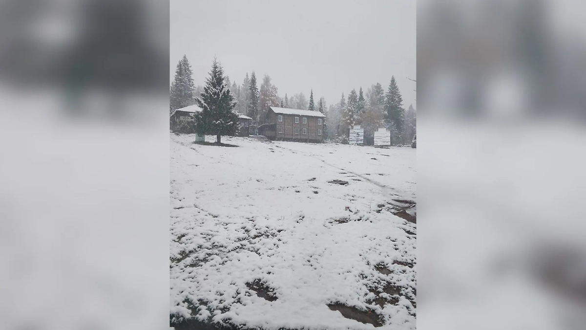 Снегопад в Челябинской области. Обложка © Таганай News