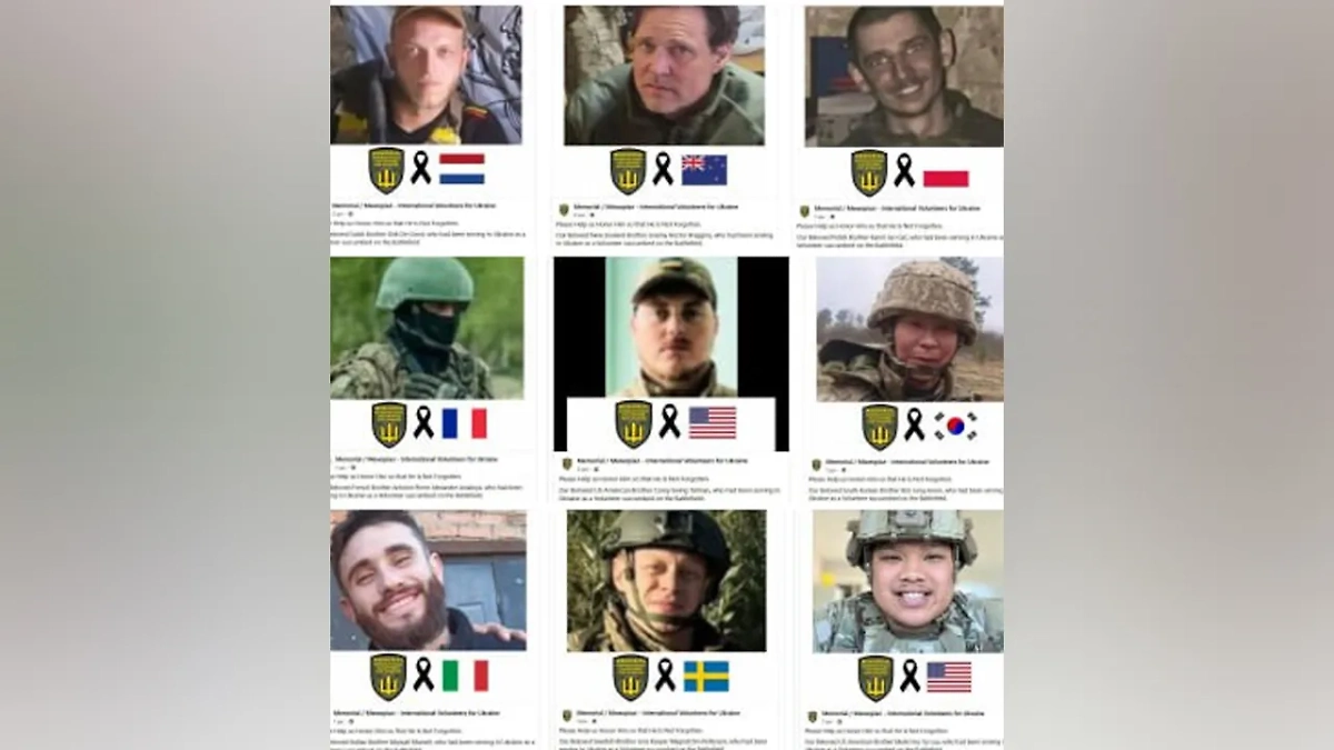 Девять офицеров НАТО из разных стран ликвидированы в зоне СВО. Фото © Telegram / Рамзай