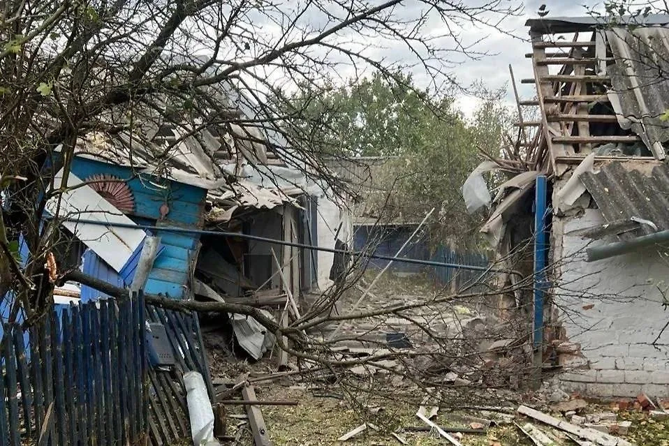 Обложка © Telegram / Настоящий Гладков