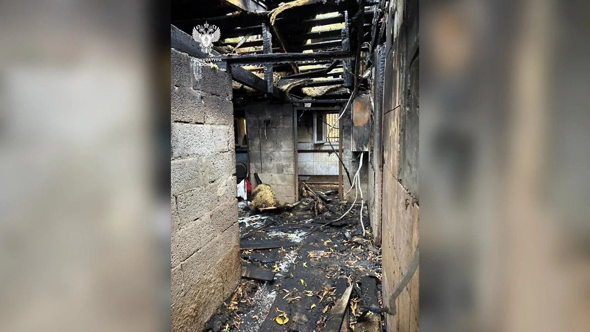 В результате трагедии погибли 13 собак. Фото © Telegram / ПРОКУРАТУРА МОСКВЫ